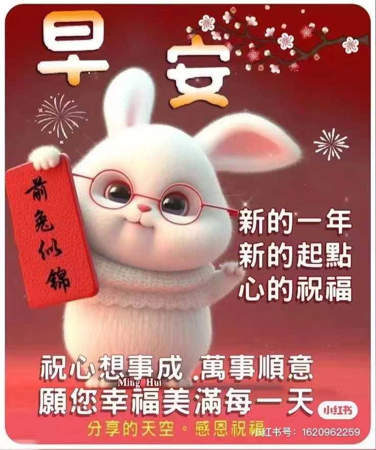 嘉興DHL快遞給大家拜年啦